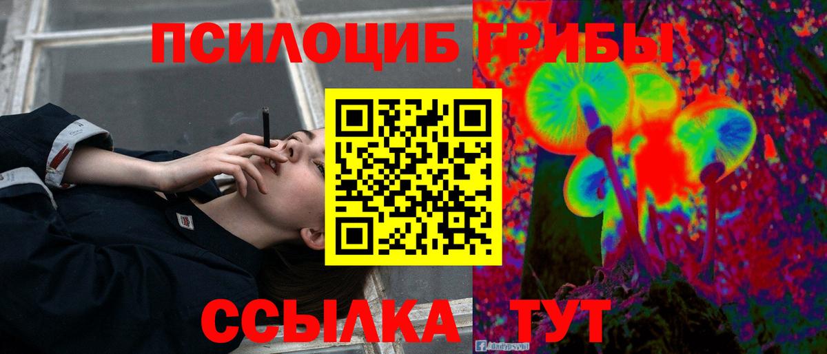 Псилоцибиновые грибы Psilocybe Тихорецк